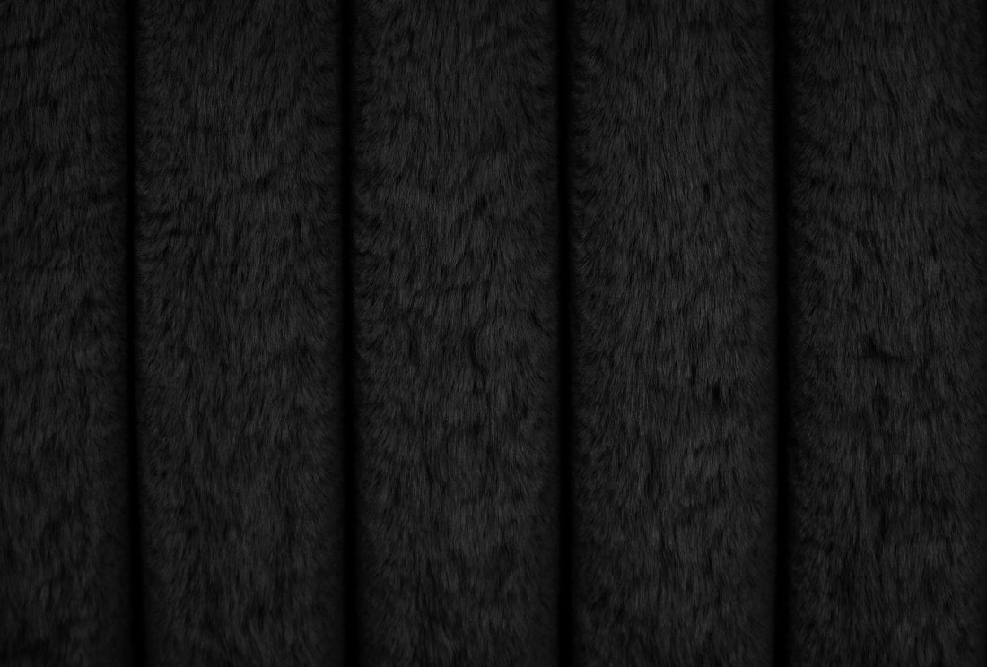 Diana Black Platform Bed