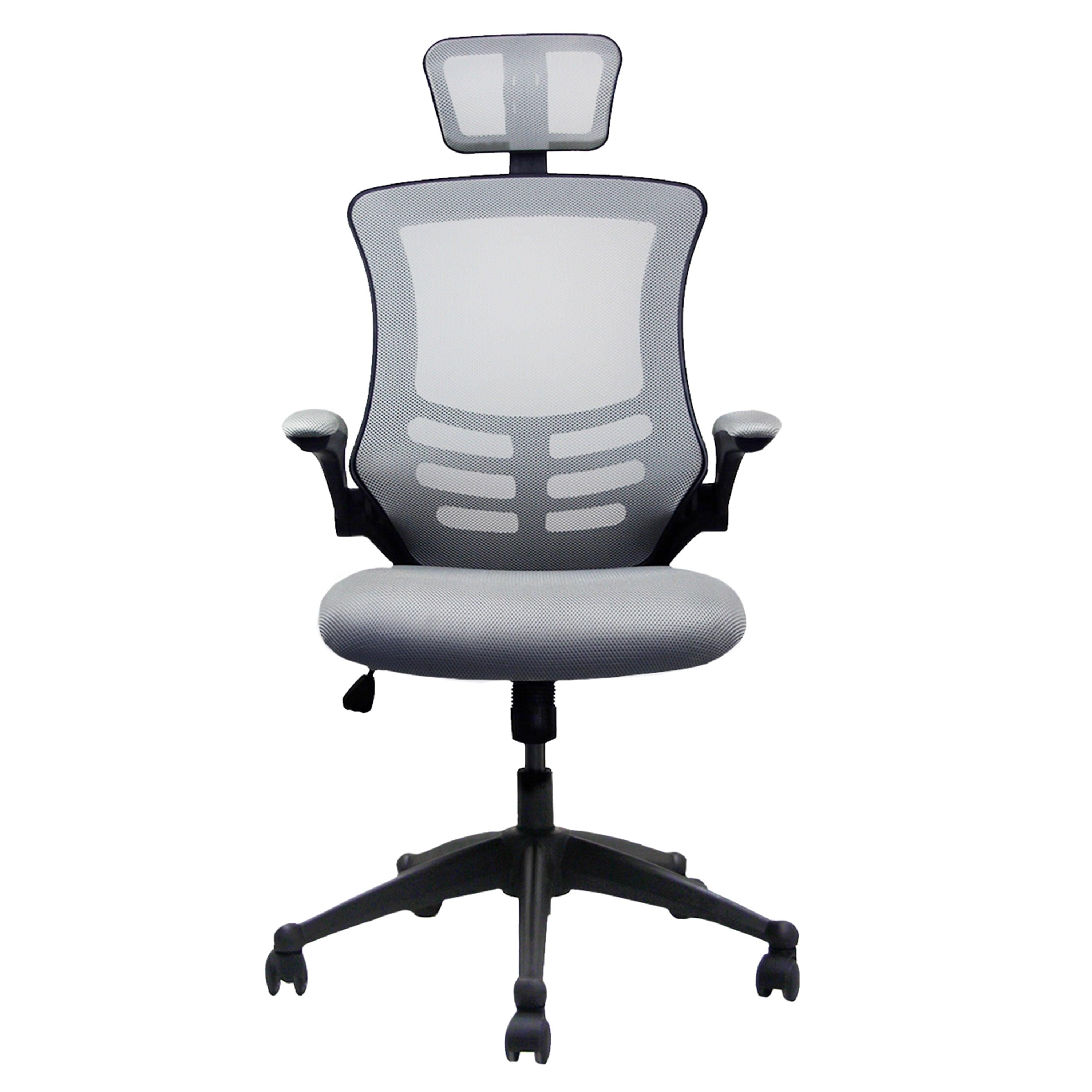 Techni MobiliModern High-Back Mesh Executive Office Chair with Headrest and Flip-Up Arms, Silver Grey