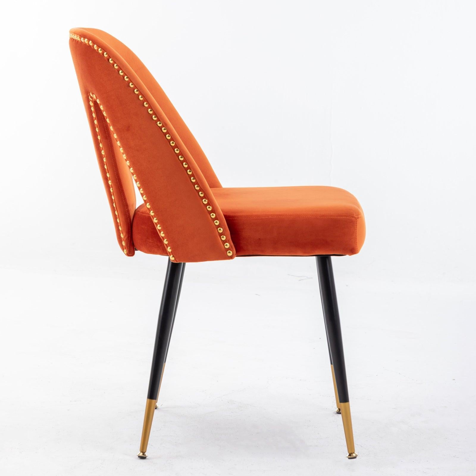 Akoya CollectionModern | Contemporary Velvet Upholstered Dining Chair with Nailheads and Gold Tipped Black Metal Legs, Orange，Set of 2