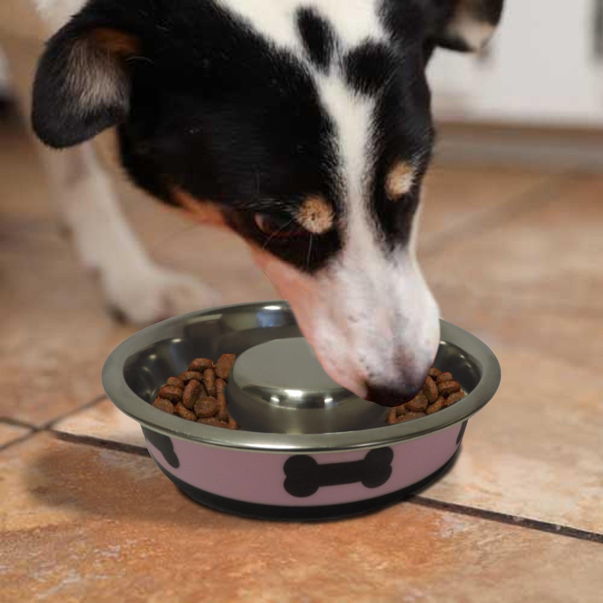 Slow Feeder Spill Proof Pet Bowl with Rubber Base and Bone Design, Pink and Black